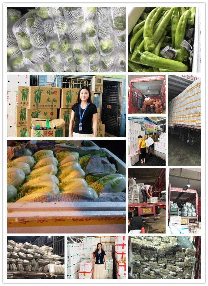 首页- 新宝GG集团创造事业平台