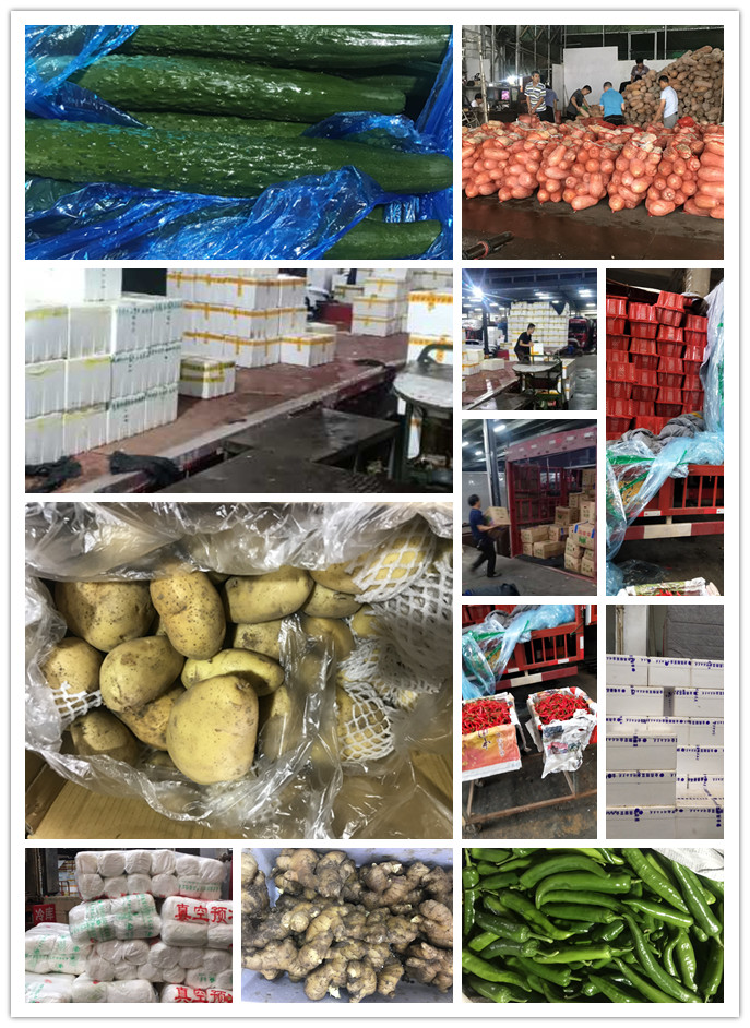 首页- 新宝GG集团创造事业平台