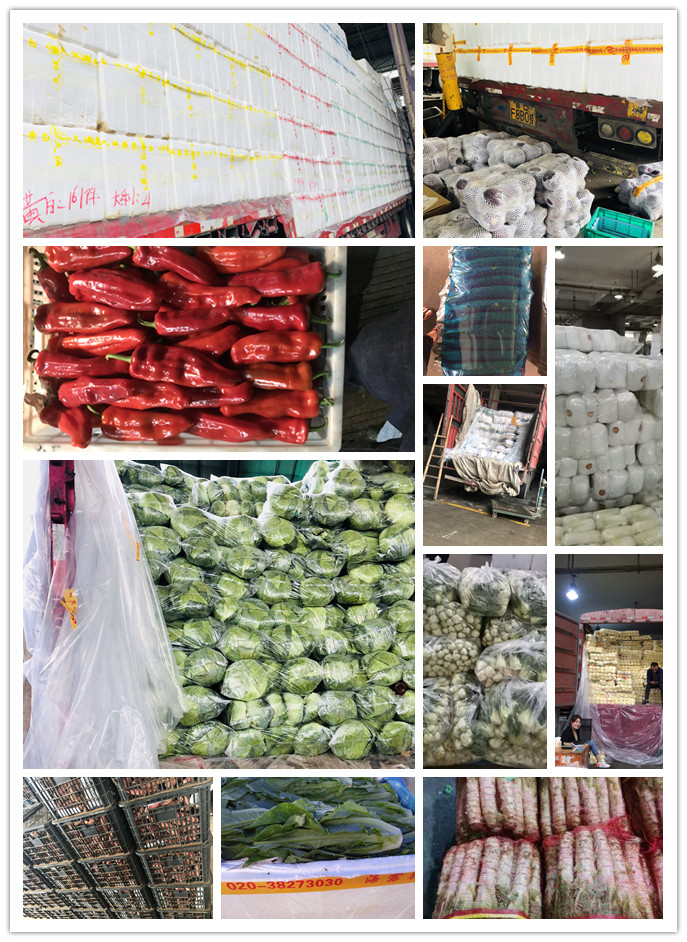 首页- 新宝GG集团创造事业平台