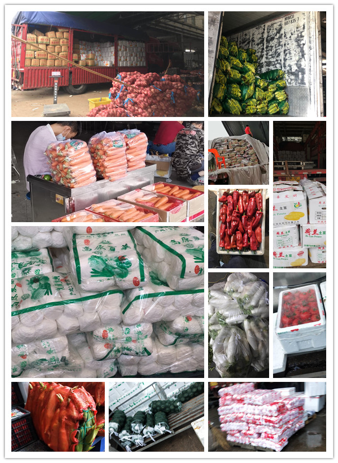 首页- 新宝GG集团创造事业平台