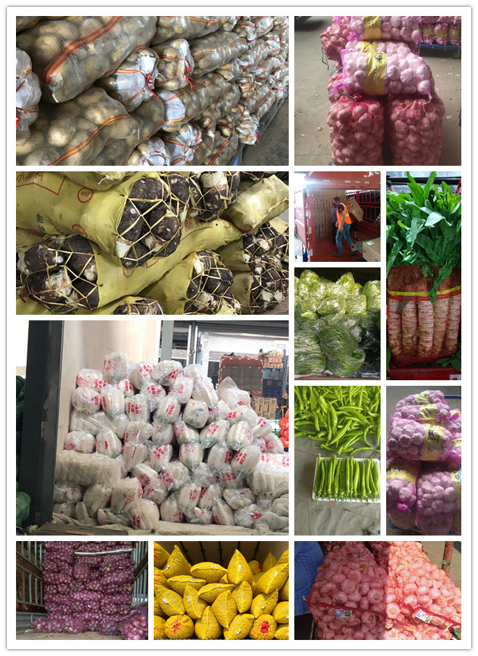 首页- 新宝GG集团创造事业平台