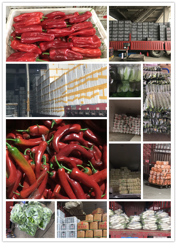 首页- 新宝GG集团创造事业平台