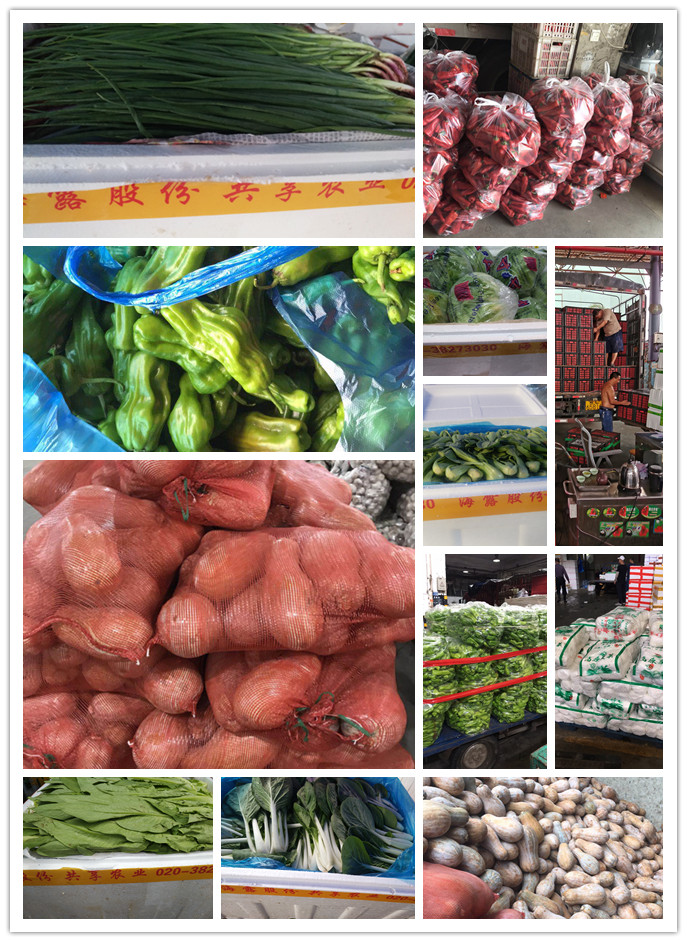 首页- 新宝GG集团创造事业平台