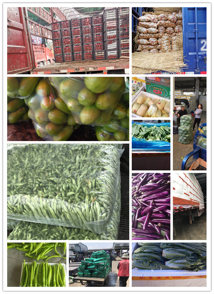 首页- 新宝GG集团创造事业平台