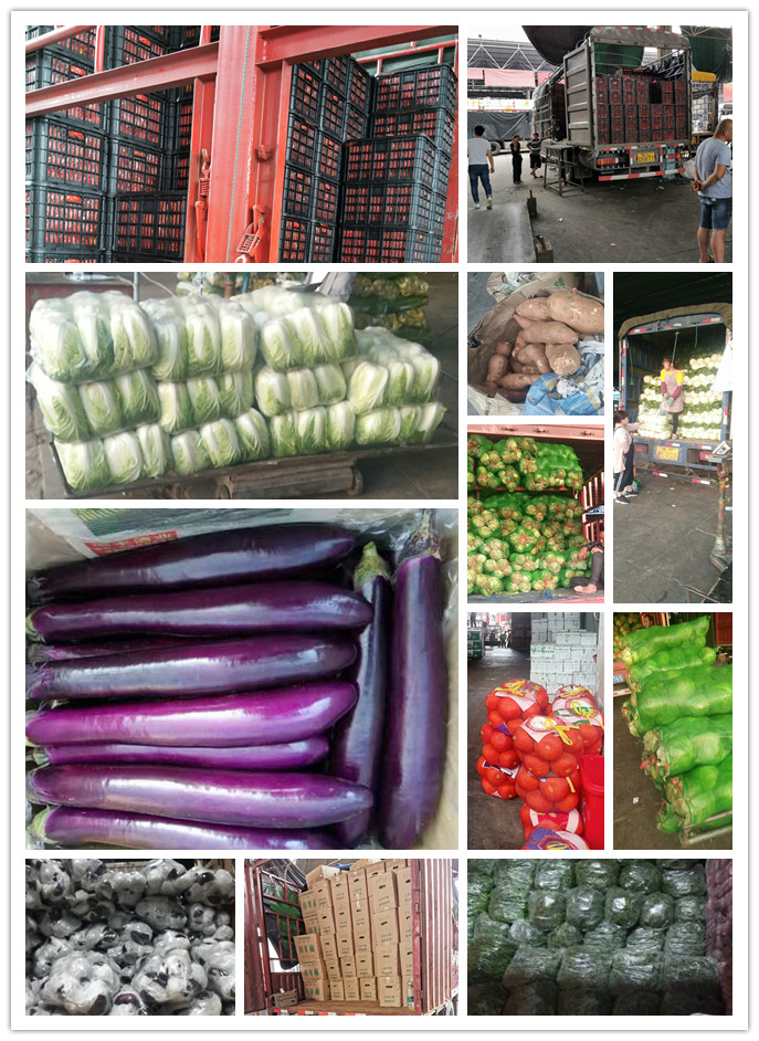 首页- 新宝GG集团创造事业平台