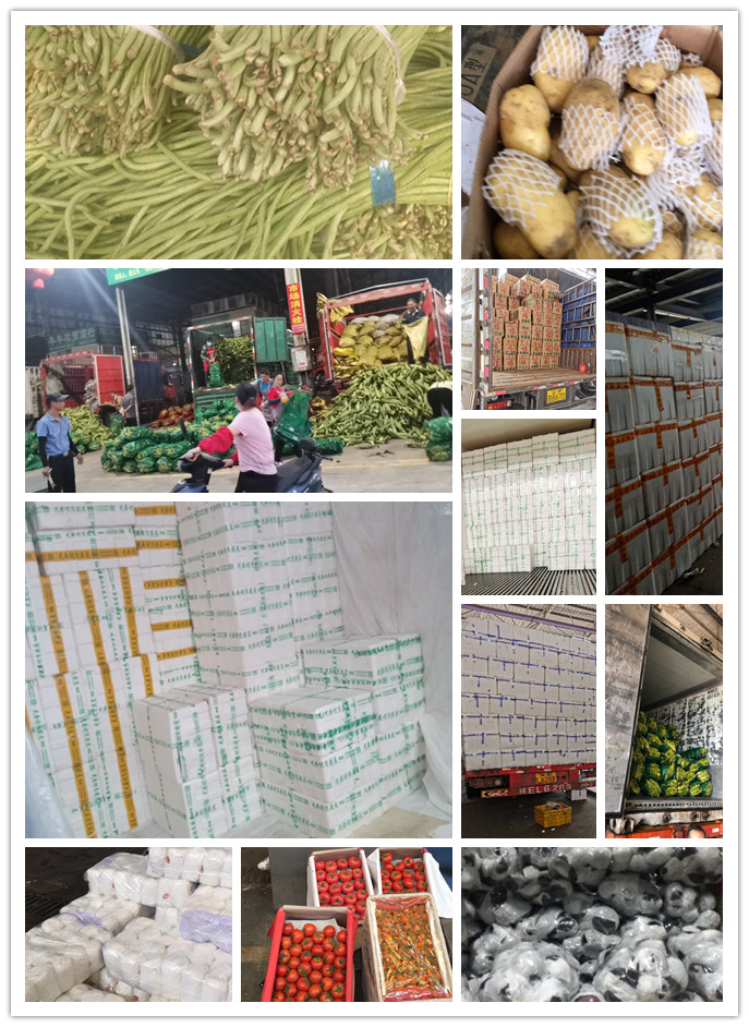 首页- 新宝GG集团创造事业平台