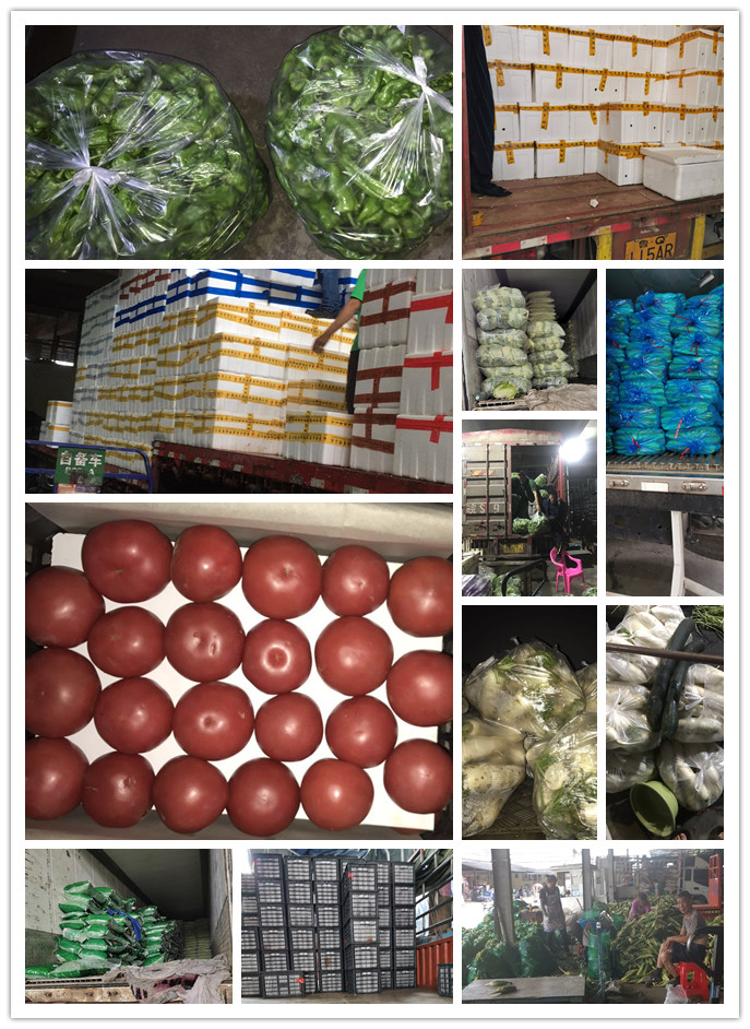 首页- 新宝GG集团创造事业平台