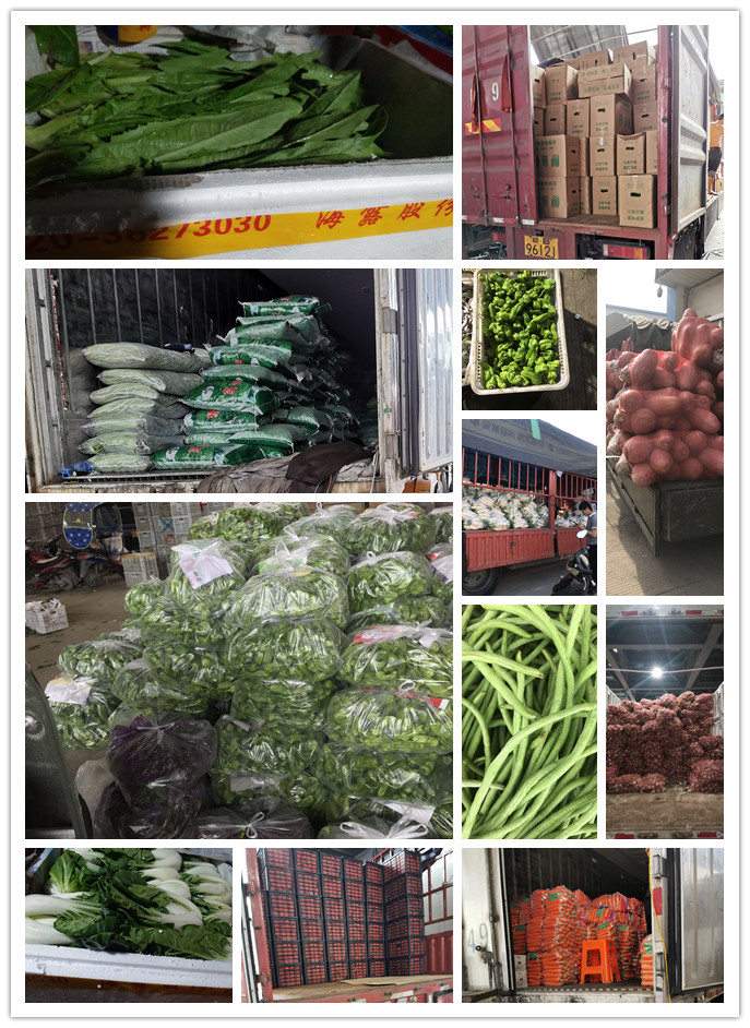 首页- 新宝GG集团创造事业平台