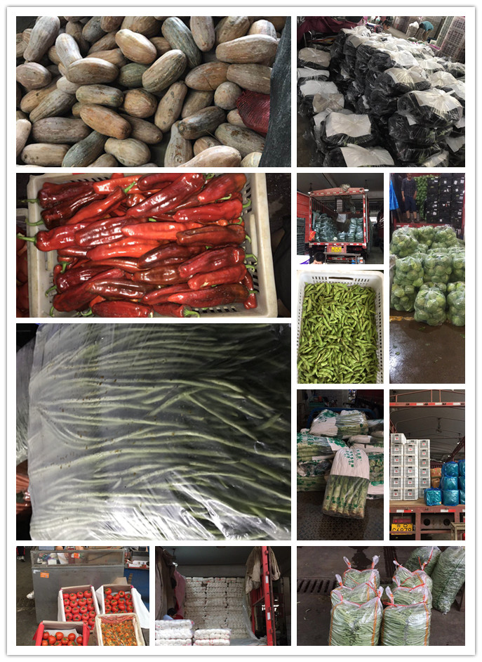 首页- 新宝GG集团创造事业平台