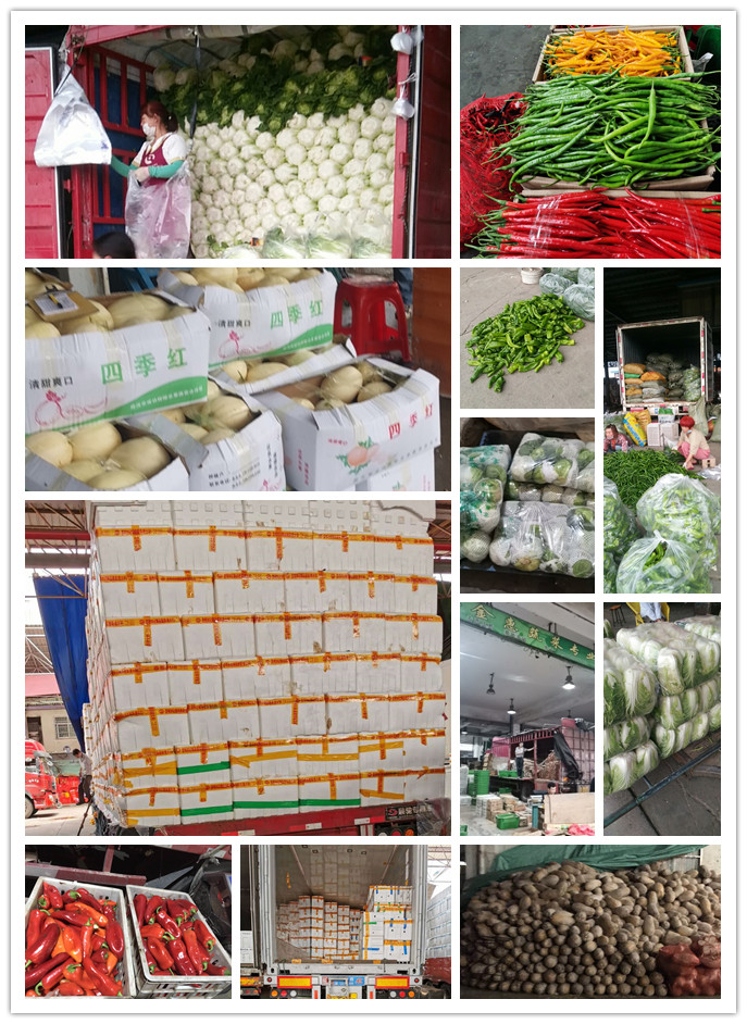 首页- 新宝GG集团创造事业平台