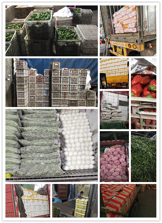 首页- 新宝GG集团创造事业平台