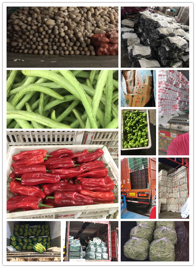 首页- 新宝GG集团创造事业平台