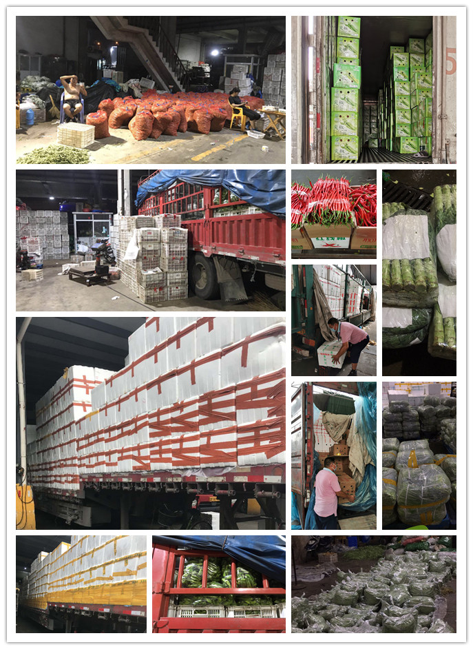 首页- 新宝GG集团创造事业平台