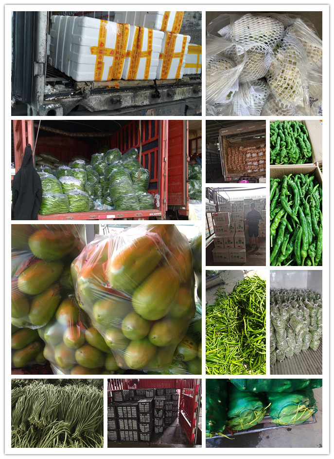 首页- 新宝GG集团创造事业平台