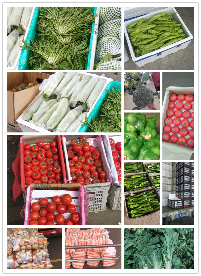 首页- 新宝GG集团创造事业平台