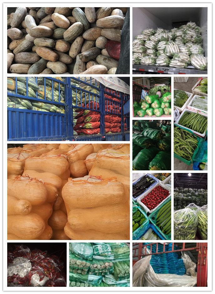 首页- 新宝GG集团创造事业平台