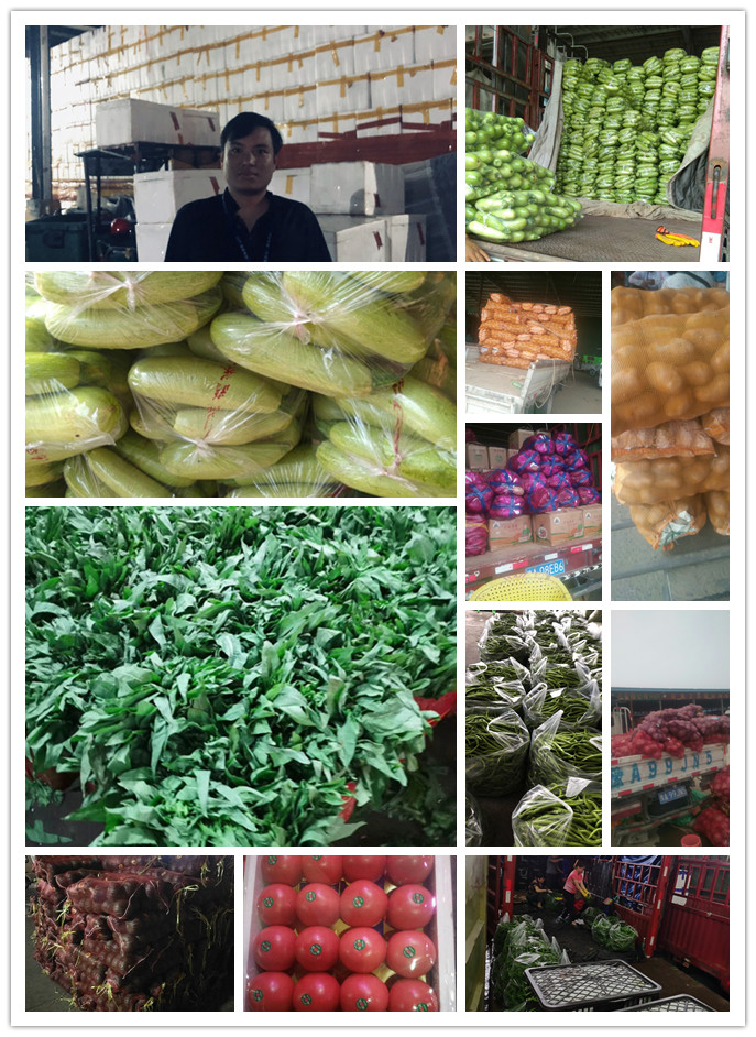 首页- 新宝GG集团创造事业平台