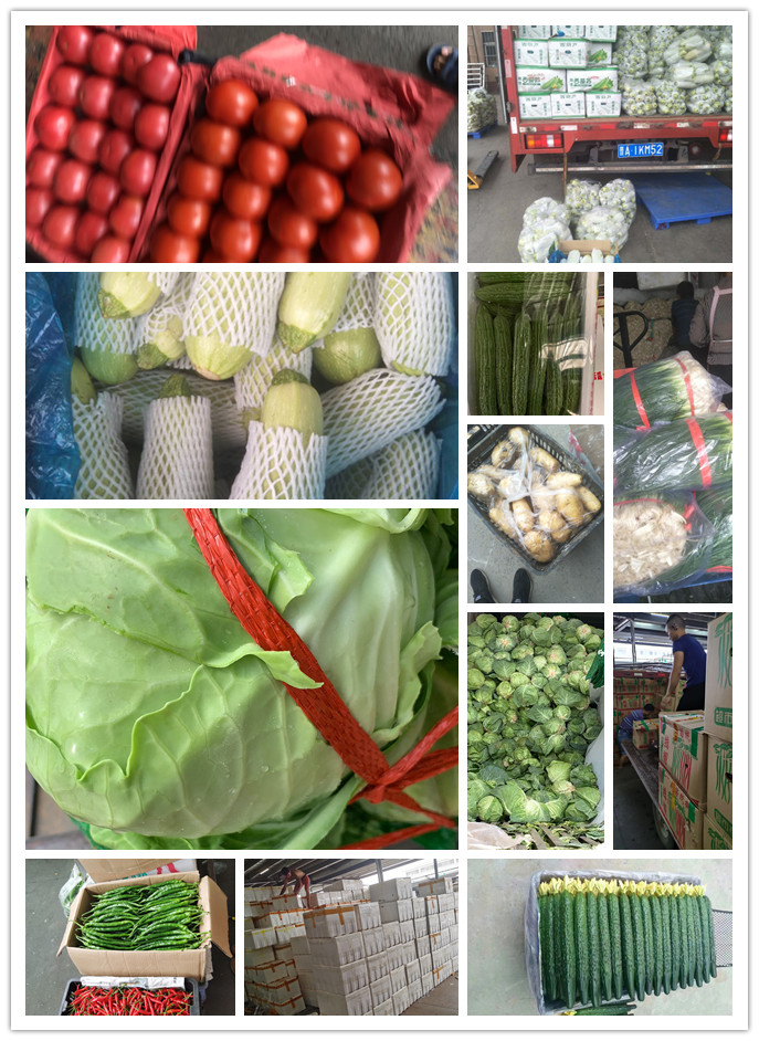 首页- 新宝GG集团创造事业平台