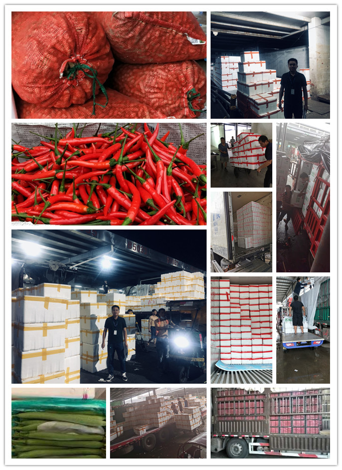 首页- 新宝GG集团创造事业平台