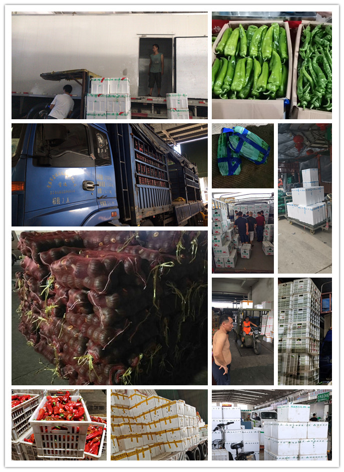 首页- 新宝GG集团创造事业平台