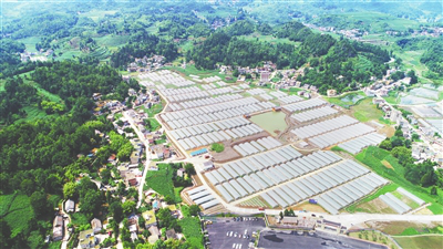 首页- 新宝GG集团创造事业平台