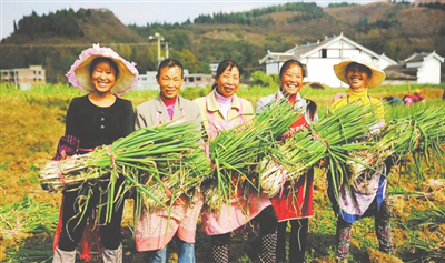 首页- 新宝GG集团创造事业平台