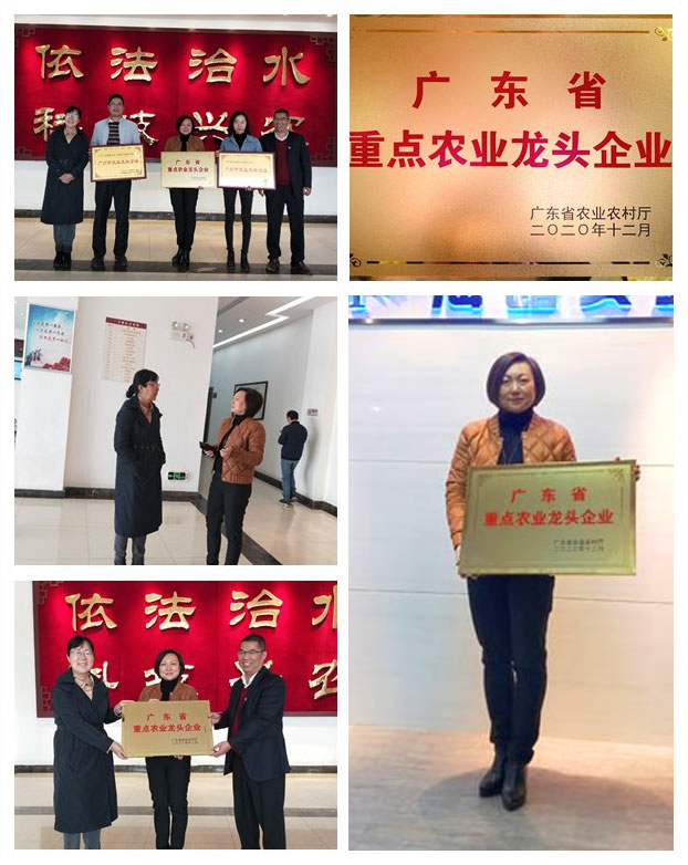 首页- 新宝GG集团创造事业平台