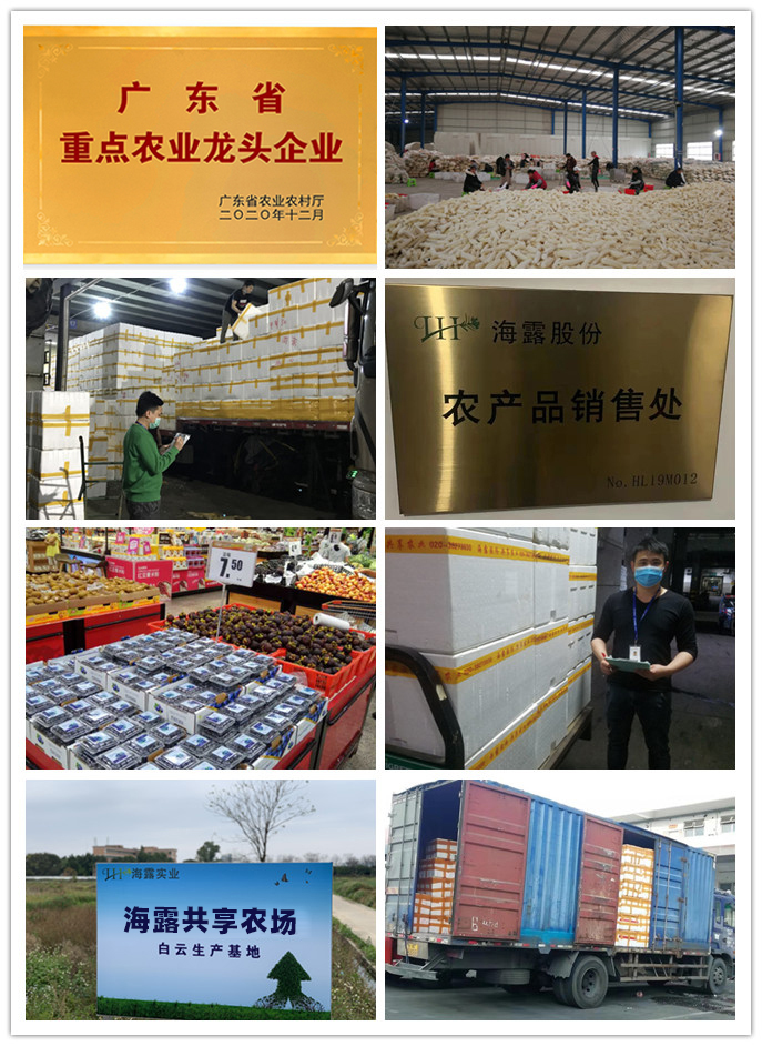 首页- 新宝GG集团创造事业平台