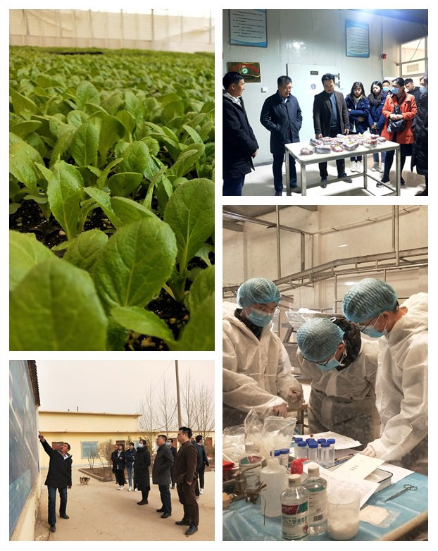 首页- 新宝GG集团创造事业平台