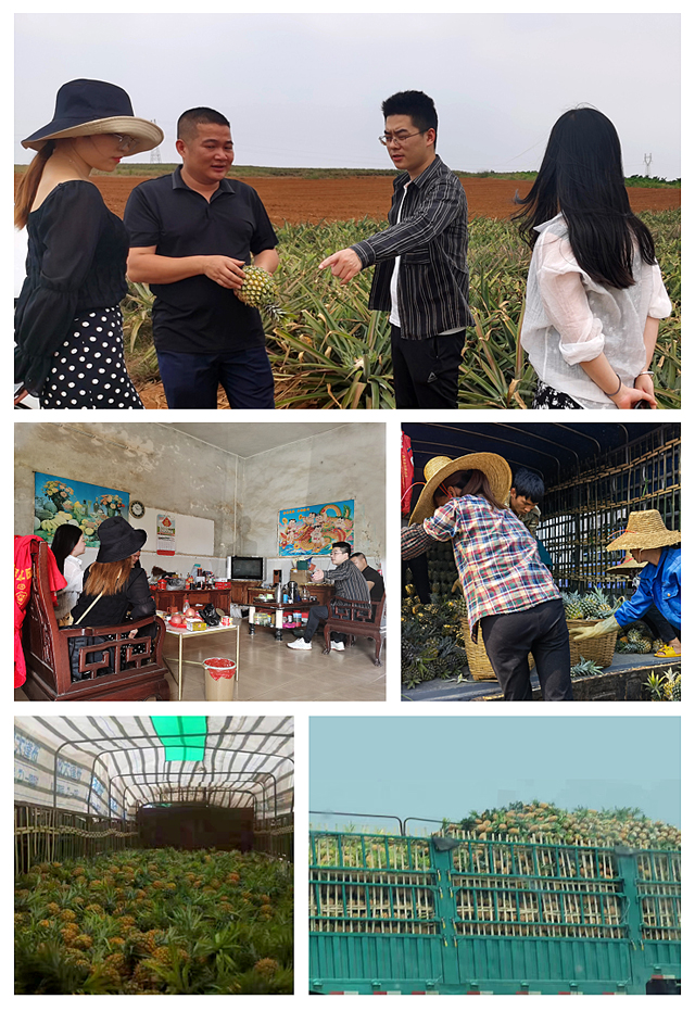 首页- 新宝GG集团创造事业平台