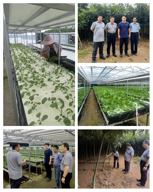 首页- 新宝GG集团创造事业平台