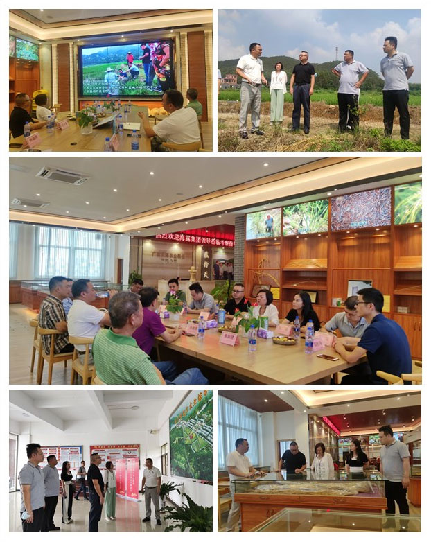 首页- 新宝GG集团创造事业平台