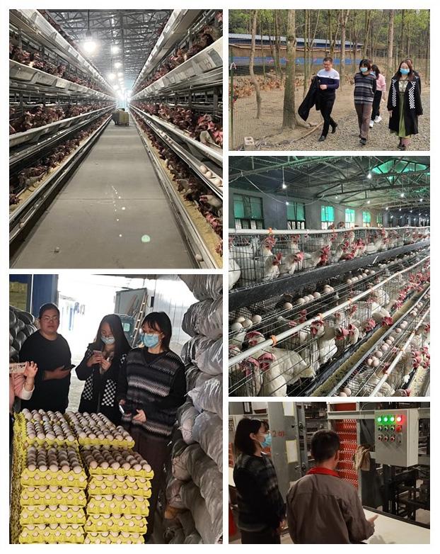 首页- 新宝GG集团创造事业平台