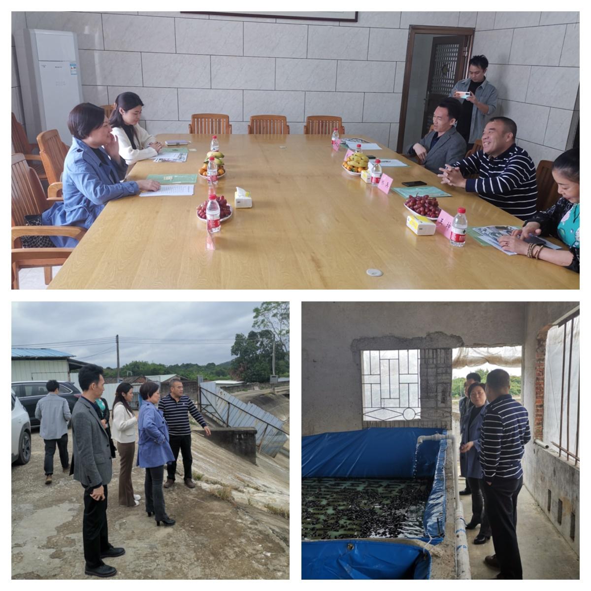 首页- 新宝GG集团创造事业平台