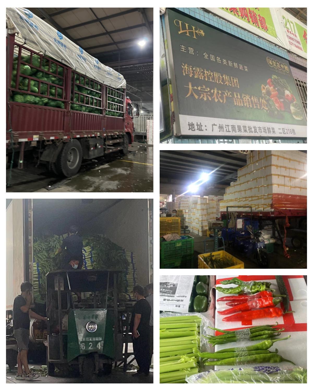 首页- 新宝GG集团创造事业平台