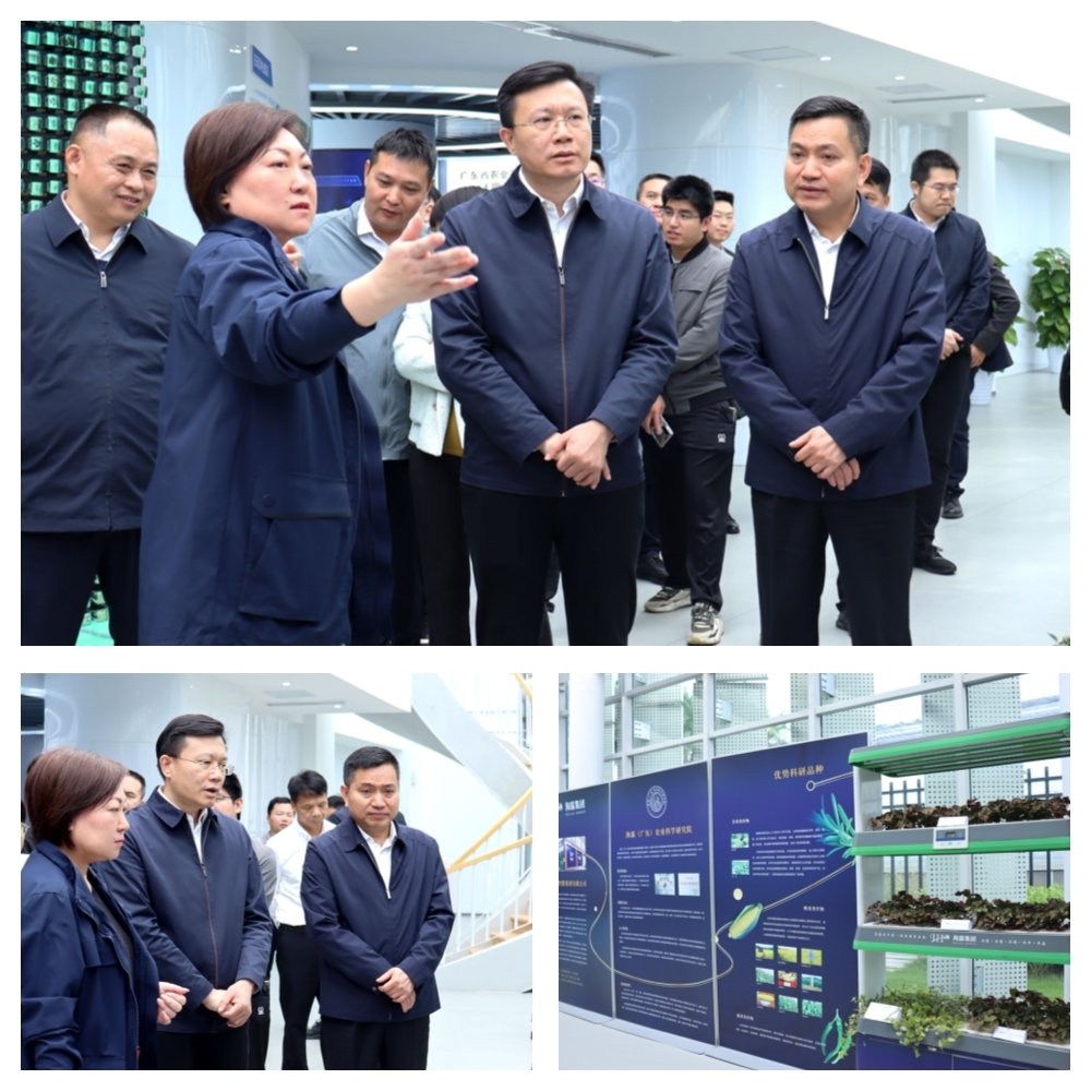 首页- 新宝GG集团创造事业平台