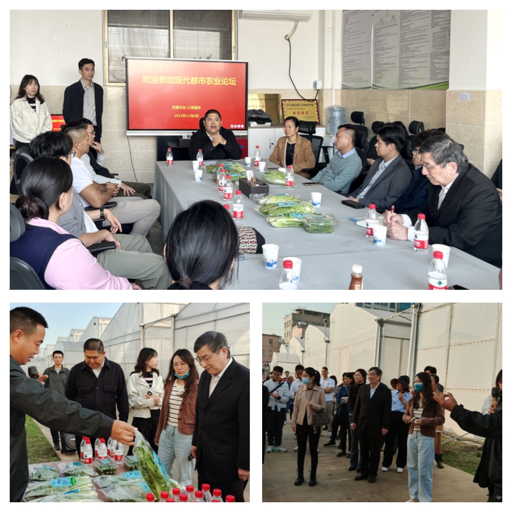 首页- 新宝GG集团创造事业平台