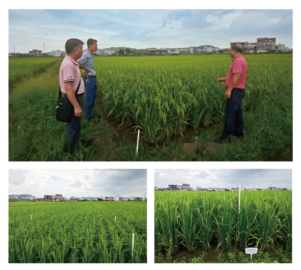 首页- 新宝GG集团创造事业平台