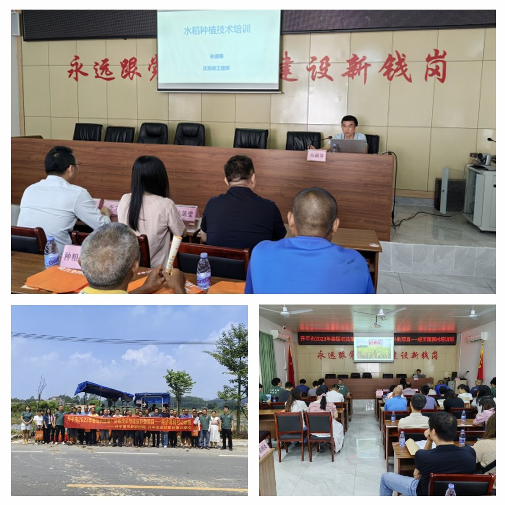 首页- 新宝GG集团创造事业平台