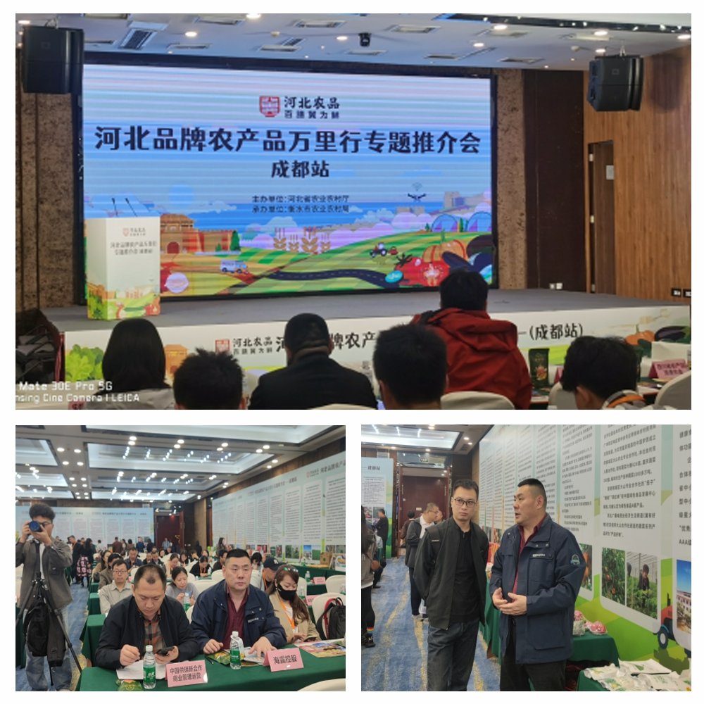 首页- 新宝GG集团创造事业平台