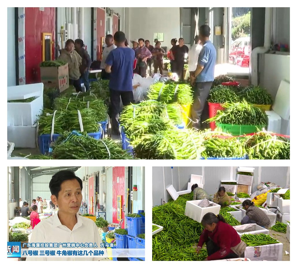 首页- 新宝GG集团创造事业平台