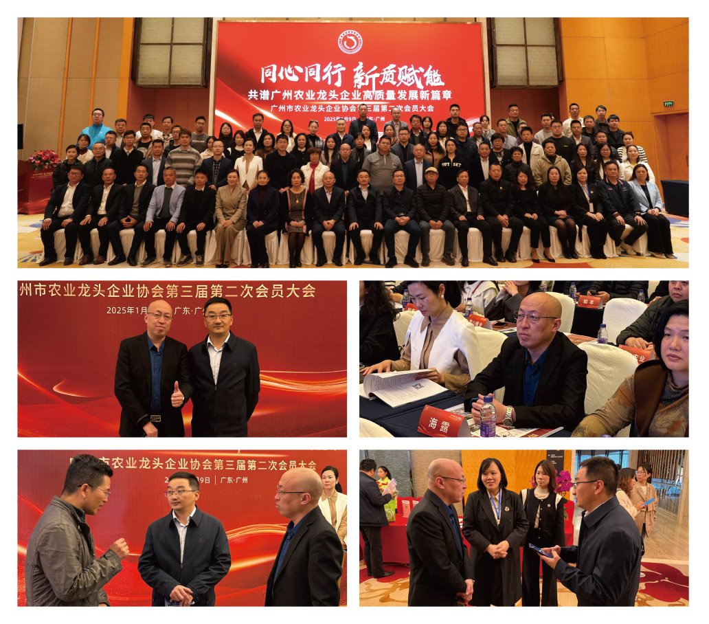 首页- 新宝GG集团创造事业平台