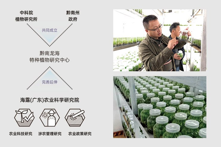 首页- 新宝GG集团创造事业平台