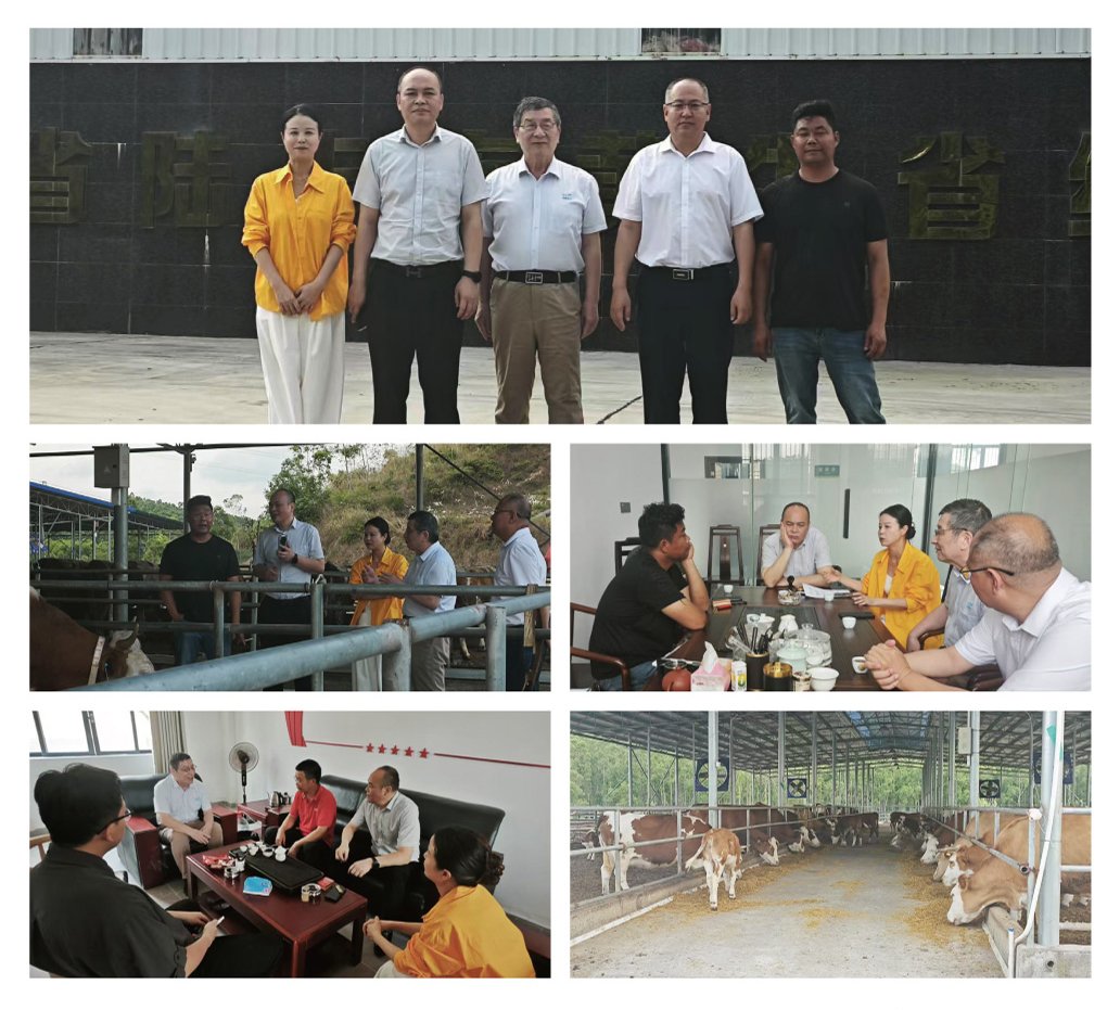 首页- 新宝GG集团创造事业平台