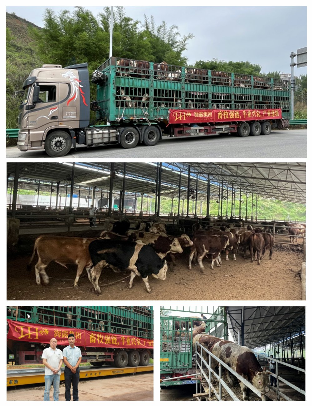 首页- 新宝GG集团创造事业平台