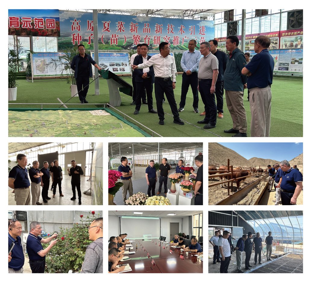 首页- 新宝GG集团创造事业平台