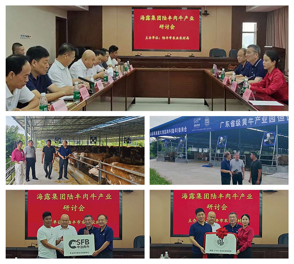 首页- 新宝GG集团创造事业平台